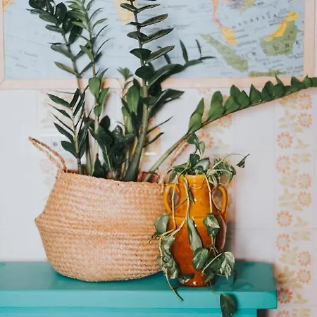 Habari We Dorm ホステル バーリ