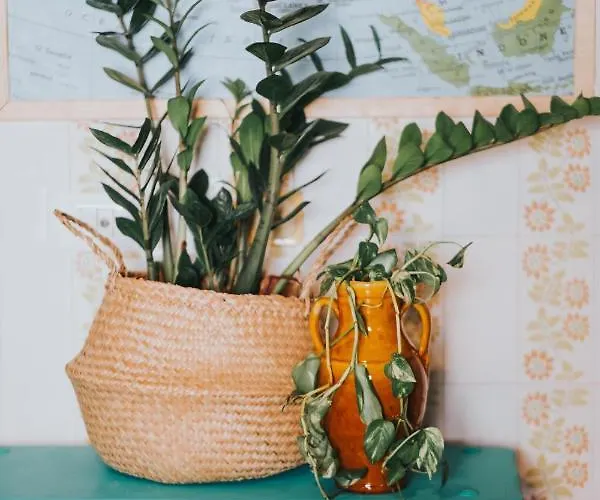 Habari We Dorm Hostal Bari